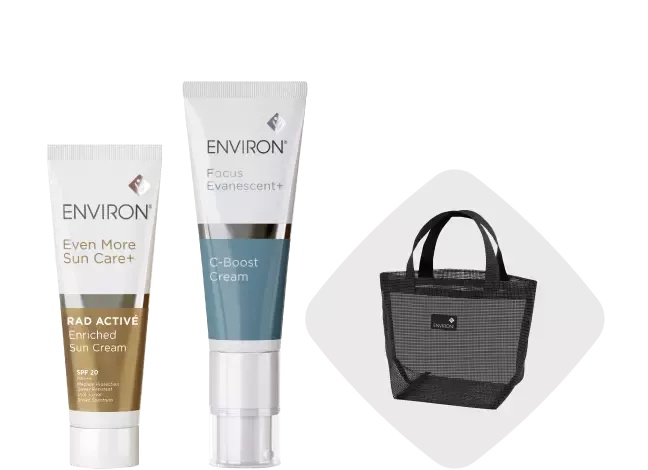 期間限定セット | environ.jp